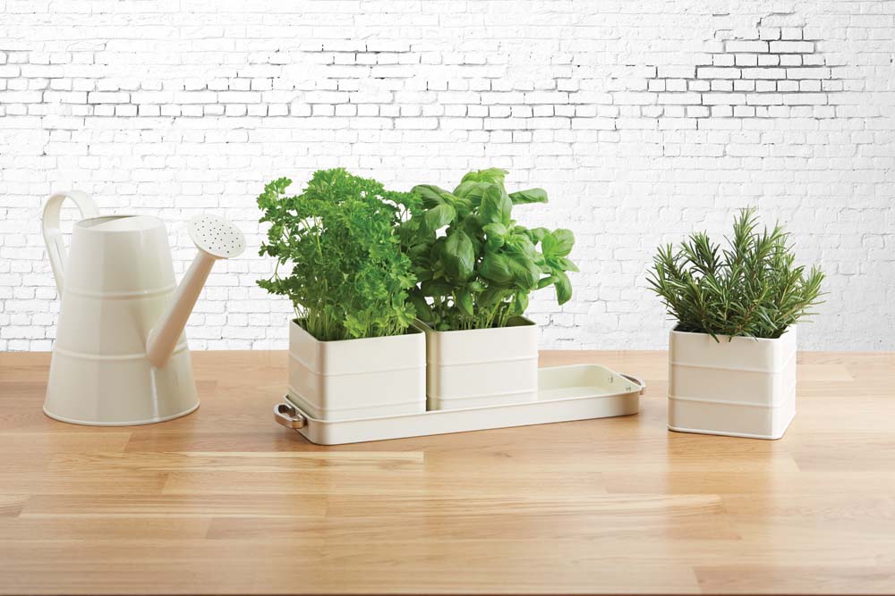 Kruidenpotten met Tray - Nostalgisch - Créme - Praktisch - Vintage - KitchenCraft | Living Nostalgia