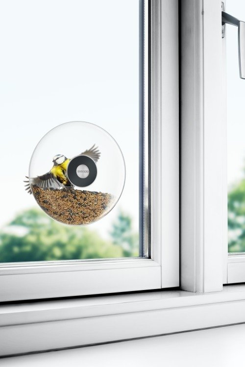 Glazen Vogel Voederbol voor Raam - 20 cm - Eva Solo