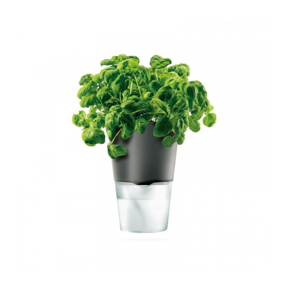 Bloempot met Bewateringssysteem, 11 cm, Zwart - Eva Solo