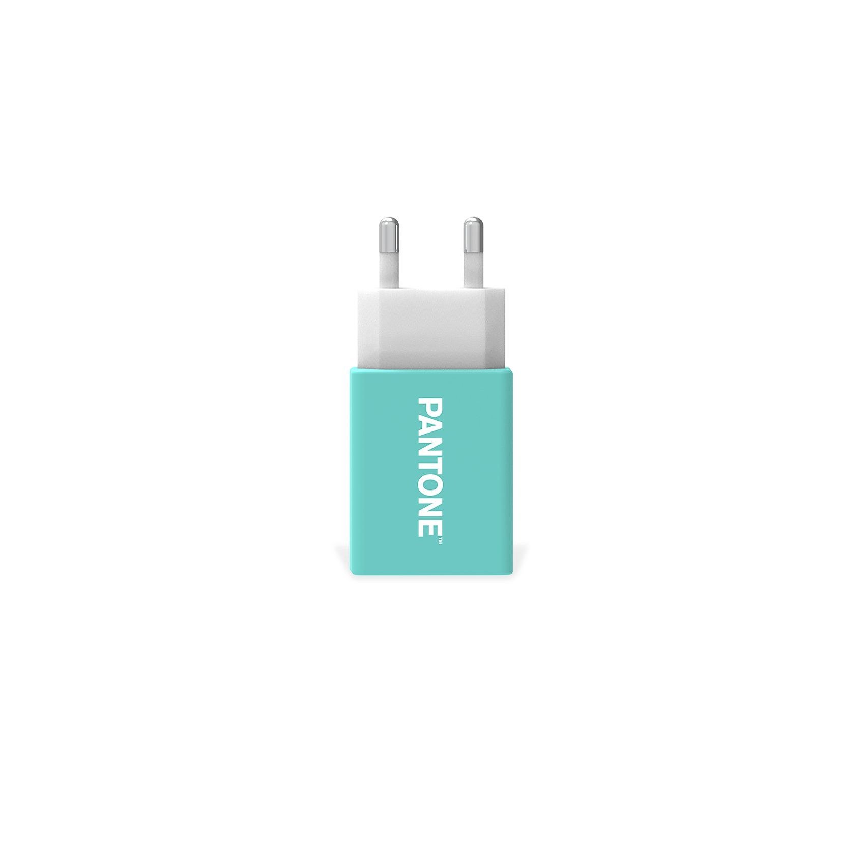 Lichtnetadapter met 1 USB poort, Mintgroen - Celly | Pantone