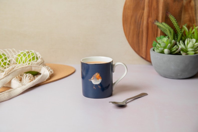 Mikasa Fine China 280ml Straight Sided Mug, Robin, Gift boxed