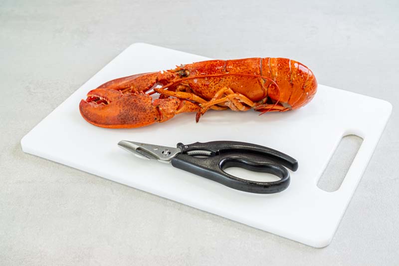 Vis- en zeevruchten schaar - Roestvrijstaal - Schelpdierenschaar - MasterClass