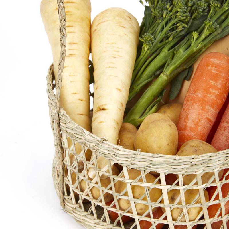 Plantenhanger - Seagrass , Zeegras - 2-laags - Duurzaam - Natural Elements | Eco Kitchen