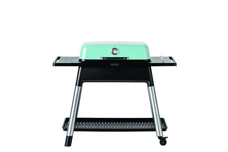 Gasbarbecue Furnace - 30 mbar NL - Mint - Everdure