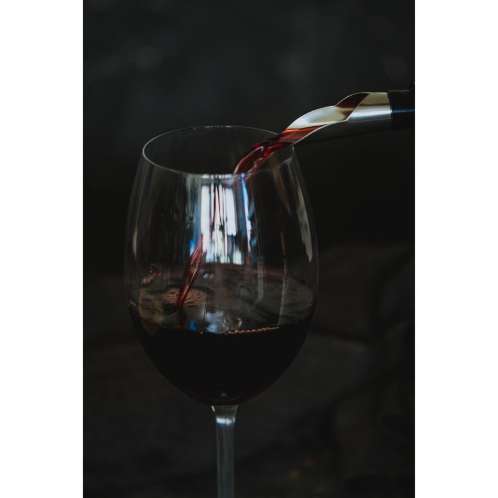 Wijnfles Schenktuit Met Stopper, RVS - BarCraft