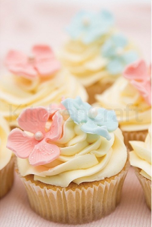 Bakvorm voor 6 muffins - Masterclass