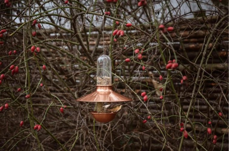 Vogel Voederbak, Hangend, Koper, 25.5 x 29 cm, RVS, Glas - Eva Solo | De Luxe